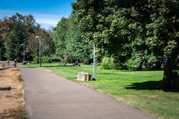 Jogging trails